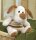 Spieluhr Hund "Roxy" von Glorex, Handarbeit, NEU, Geschenk, Taufe