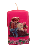 Rechteckkerze "Hund und Katze"