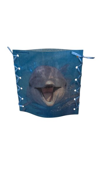 Stimmungslicht "freundlicher Delfin"